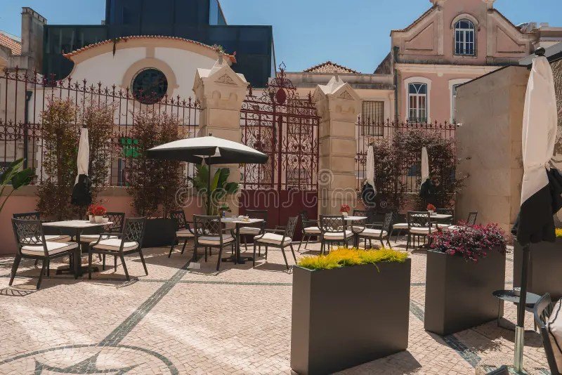 Dining Experience & Ambiance Elevate Meals Beyond Just Food